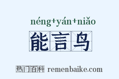 能言鸟是什么意思的图片